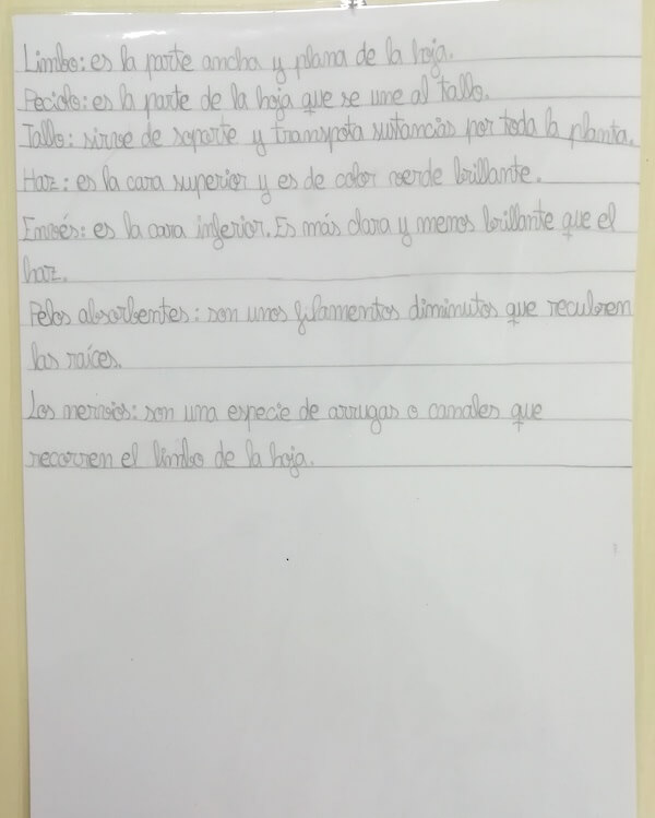 partes-de-la-panta-b